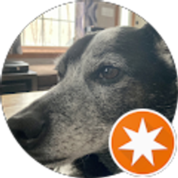 Profile photo of Cardinal Forest