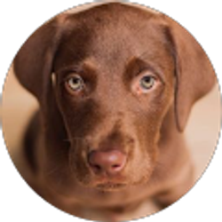 Profile photo of Angelina L