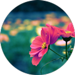 Profile photo of Esperanza Cigala Ponce