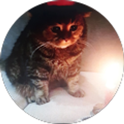 Profile photo of Bryan Reynolds