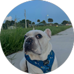 Profile photo of Hidy Aragon