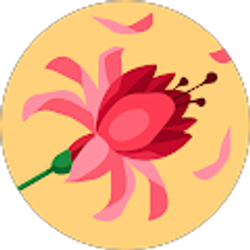 Profile photo of Kathy Smithenry