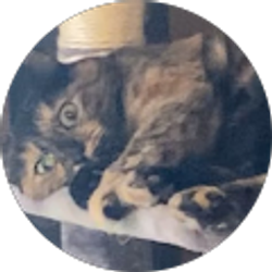 Profile photo of Sandi