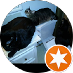 Profile photo of Tyrese Mejia