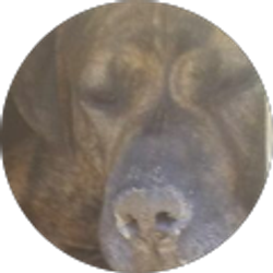 Profile photo of Sonyaa Winchell