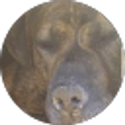 Profile photo of Sonyaa Winchell