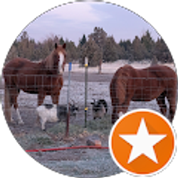 Profile photo of Lynn Clark