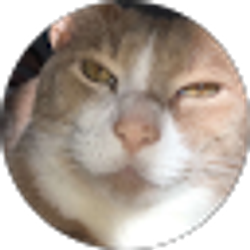 Profile photo of sydney hall