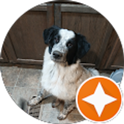 Profile photo of Robert Rittenberry