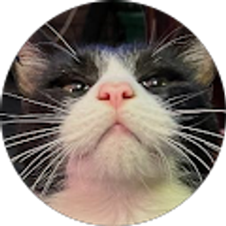 Profile photo of Matt Moses