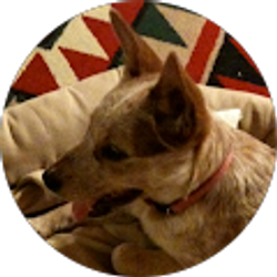 Profile photo of Cynthia Benefield