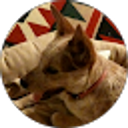 Profile photo of Cynthia Benefield