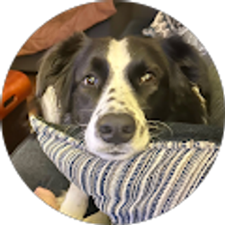 Profile photo of Lisa P