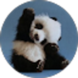 Profile photo of Jen B.