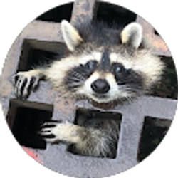 Profile photo of rooniroon