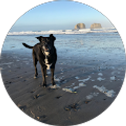 Profile photo of J W