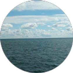 Profile photo of Angi Ye