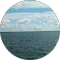 Profile photo of Angi Ye