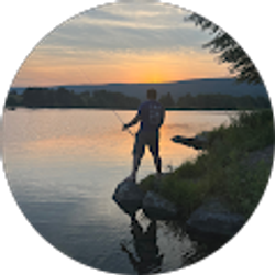 Profile photo of Michael Gavrilesku