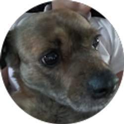 Profile photo of Andrew Sanchez