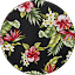 Profile photo of QweenBee_YT H