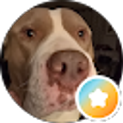 Profile photo of KEVIN LEWIS
