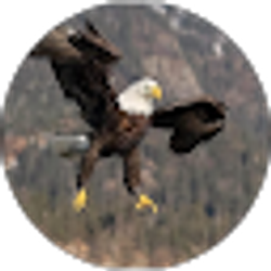 Profile photo of Rob Dinnel