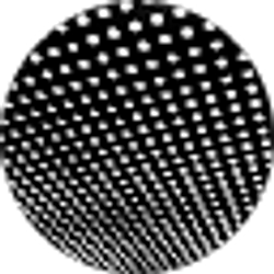 Profile photo of Mark