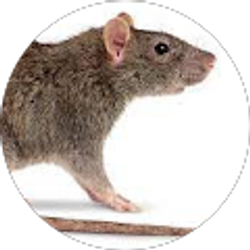 Profile photo of tara Hebbler