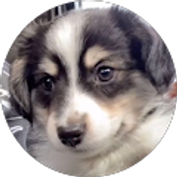 Profile photo of The Kansas Works