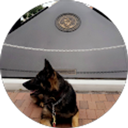 Profile photo of Pat Barker