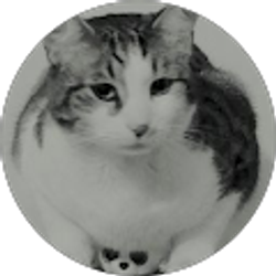 Profile photo of Chela