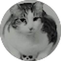 Profile photo of Chela