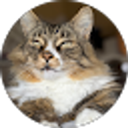Profile photo of Kayla C