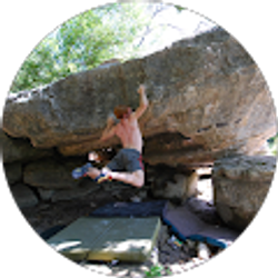 Profile photo of Shaun Robertson