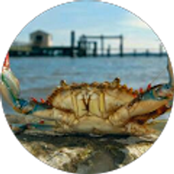 Profile photo of Michael Deane