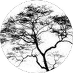 Profile photo of Candance Nichols