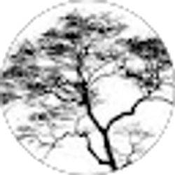 Profile photo of Candance Nichols