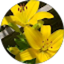 Profile photo of Brenda Wade