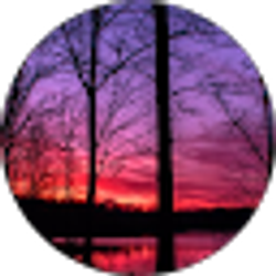 Profile photo of Daylen Barber