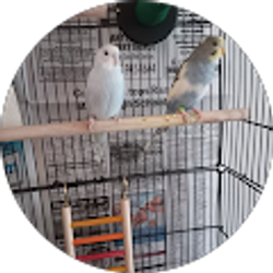 Profile photo of Debra Fancher