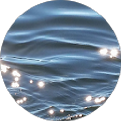 Profile photo of Peifang