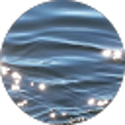 Profile photo of Peifang