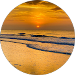 Profile photo of Chris T