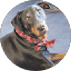 Profile photo of Patricia Hines