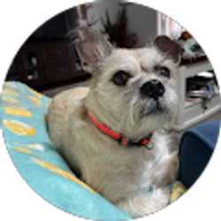 Profile photo of Cecelia Pezdek