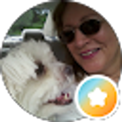 Profile photo of Susan FR