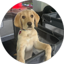 Profile photo of desiree murray