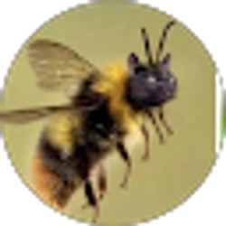 Profile photo of Charisse Kemp