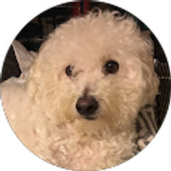 Profile photo of Ashly Cedeno